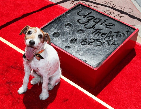  Uggie the dog retires from Hollywood career