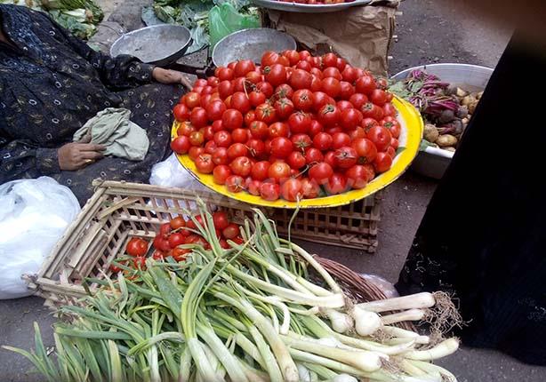 اضغط على الصورة لرؤيتها بالحجم الطبيعي