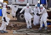 هل خطر الإيبولا يقترب؟