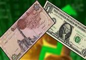 الدولار يواصل الاستقرار أمام الجنيه في عطاء المركزي الـ 264