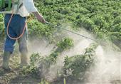 العثور على مبيدات حشرية في 97% من الأغذية بالاتحاد الأوروبي
