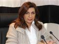 تنظيم الجاليات كيف يحل ازمة الاعتراف بالكيانات المصرية في الخارج