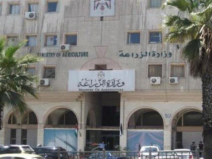 الزراعة تنظم ورش عمل وندوات في مجالات النخيل والتمور بالوادي الجديد الزراعة تنظم ورش عمل وندوات في مجالات النخيل والتمور بالوادي الجديد