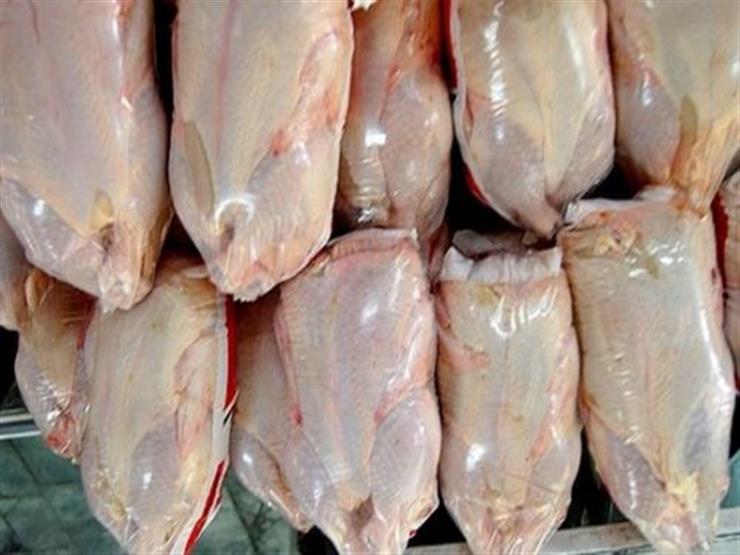 التموين: ليس لدينا دجاج أوكراني "مهرمن".. وجميع الصفقات آمنة التموين: ليس لدينا دجاج أوكراني "مهرمن".. وجميع الصفقات آمنة