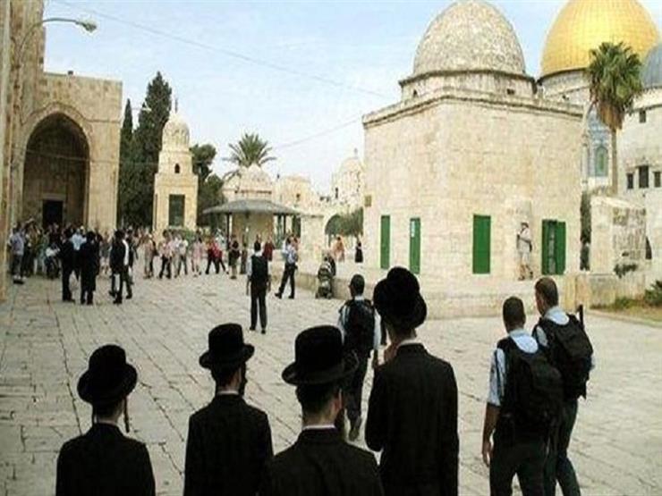 مجموعات من المستوطنين اليهود يقتحمون باحات المسجد الأقصى مجموعات من المستوطنين اليهود يقتحمون باحات المسجد الأقصى