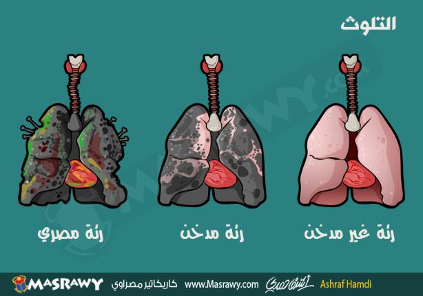 التلوث التلوث
