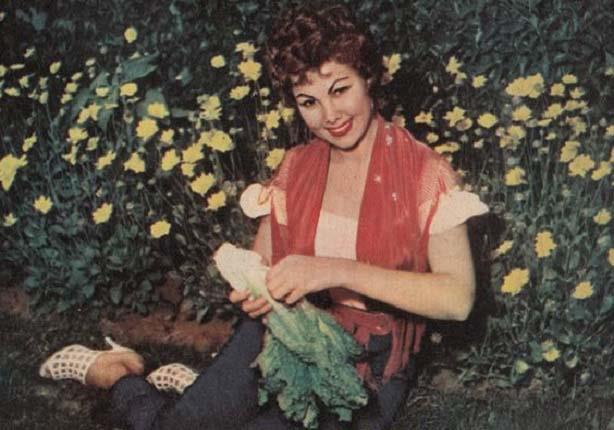 برلنتي عبدالحميد تجهز الخس لأكلة الفسيخ في الربيع