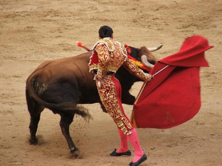 بالفيديو- مصارع ثيران يلقى حتفه بطعنة مفاجئة من ثور بالفيديو- مصارع ثيران يلقى حتفه بطعنة مفاجئة من ثور