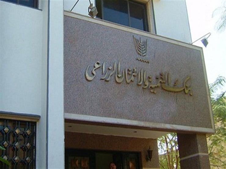 رئيس البنك الزراعي: نستهدف زيادة عملائنا لـ7 مليون فلاح رئيس البنك الزراعي: نستهدف زيادة عملائنا لـ7 مليون فلاح