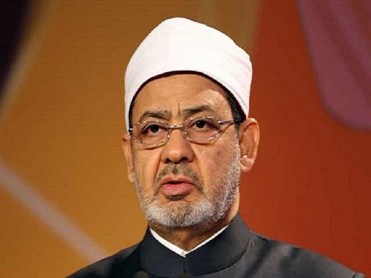شيخ الأزهر ردًا على فتاوى معاشرة الميتة والبهائم: الحجر على أصحابها واجب شيخ الأزهر ردًا على فتاوى معاشرة الميتة والبهائم: الحجر على أصحابها واجب