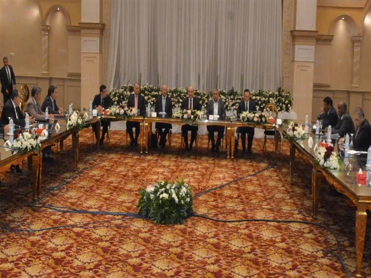 اجتماع اللجنة المصرية المعنية بليبيا