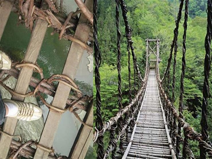 Vine-Footpaths-AKA-Bridges