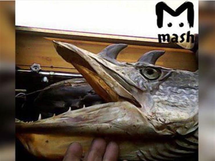   صياد روسي يصطاد سمكة تشبه المخلوقات الأسطورية