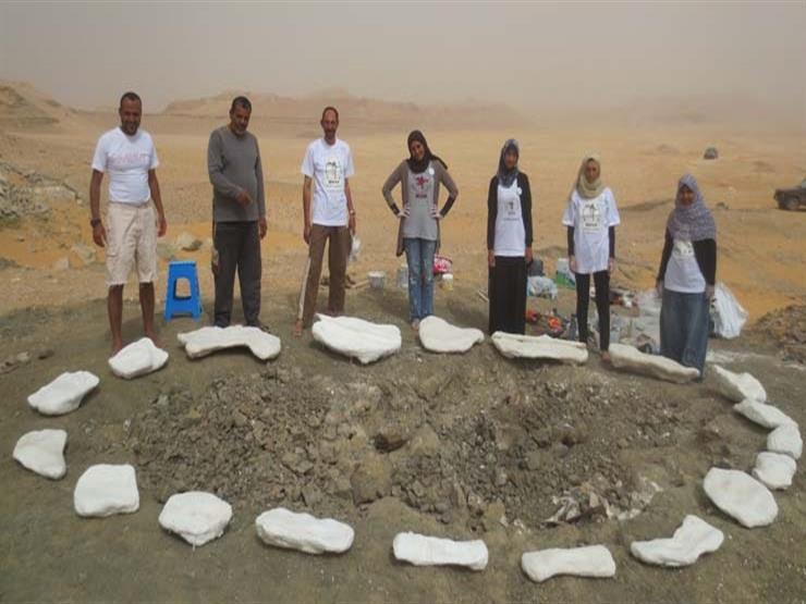 بالصور- الأول من نوعه.. 10 معلومات لا تعرفها عن الديناصور المكتشف في الواحات المصرية بالصور- الأول من نوعه.. 10 معلومات لا تعرفها عن الديناصور المكتشف في الواحات المصرية