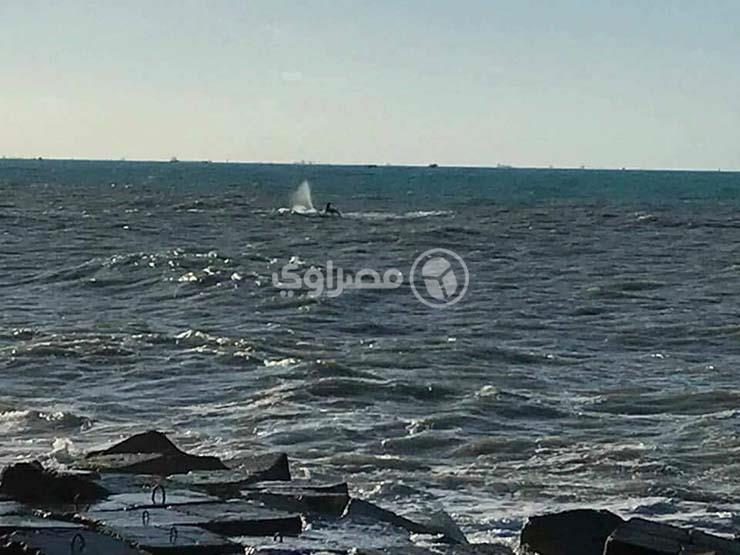 ننشر أول تصريح لوالد "غريق ستانلي" بعد الحكم على مرتكب الحادث ننشر أول تصريح لوالد "غريق ستانلي" بعد الحكم على مرتكب الحادث