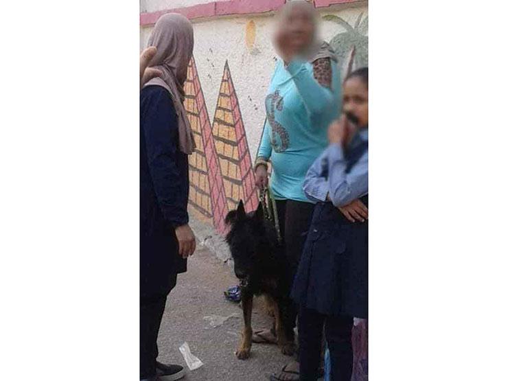 أول تعليق من "تعليم القاهرة" على واقعة إطلاق كلب حراسة على طالب أول تعليق من "تعليم القاهرة" على واقعة إطلاق كلب حراسة على طالب