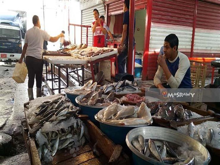 استقرار في أسعار السمك بسوق العبور اليوم