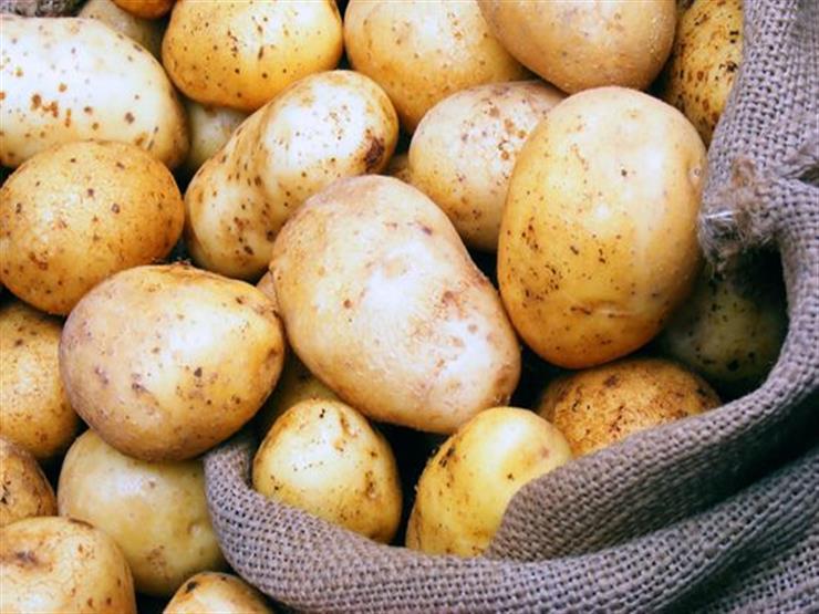 خبراء: التصدير وارتفاع أسعار التقاوي سبب "جنون" البطاطس 