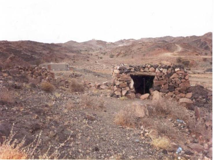 بالفيديو .. إزالة منزل مرضعة النبي وشجرة شق الصدر بالفيديو .. إزالة منزل مرضعة النبي وشجرة شق الصدر