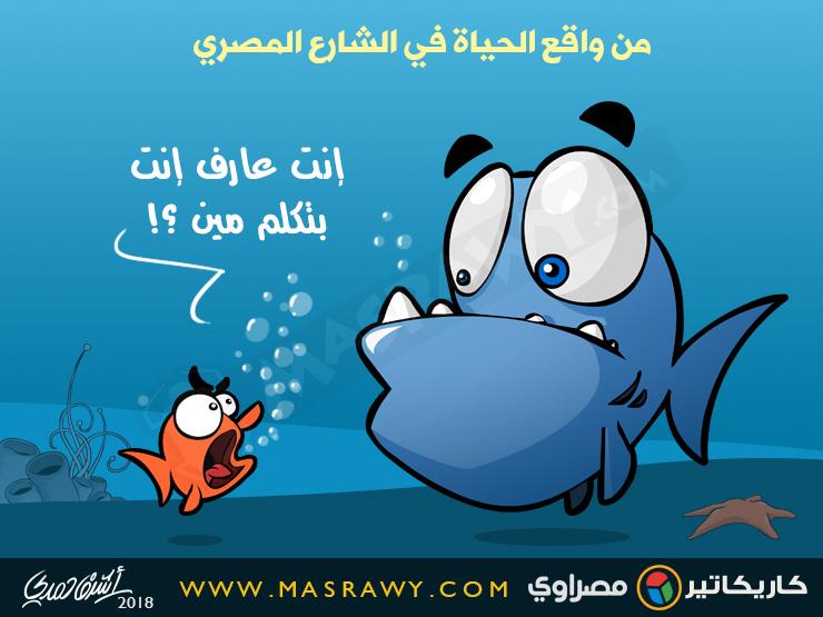 الشارع المصري الشارع المصري