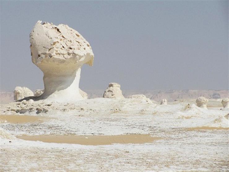 محمية الصحراء البيضاء