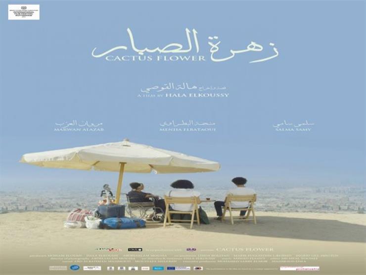 السبت.. نجوم "زهرة الصبار" في الإسكندرية والإسماعيلية السبت.. نجوم "زهرة الصبار" في الإسكندرية والإسماعيلية