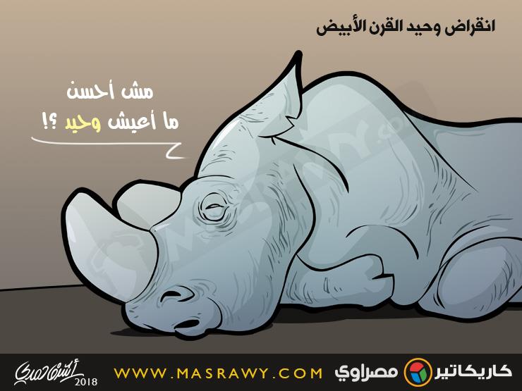 وحيد القرن وحيد القرن