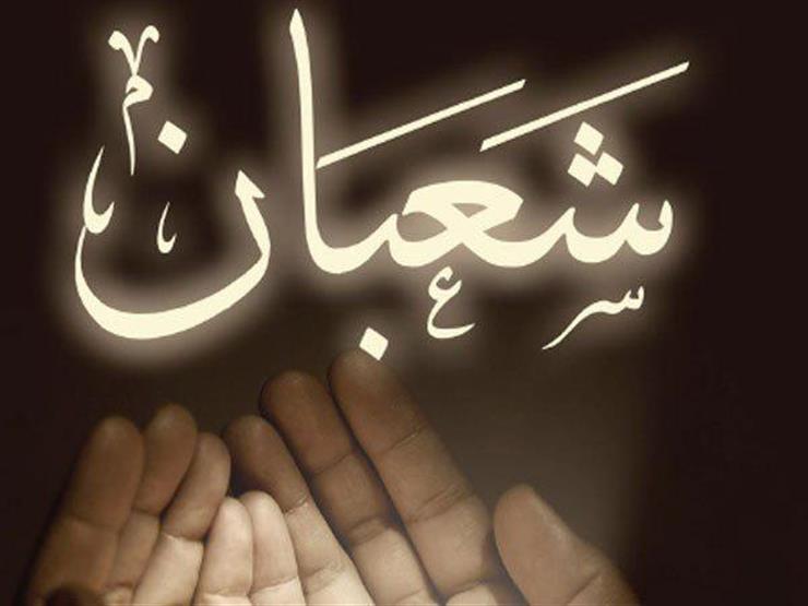أفضل الأعمال في شهر شعبان.. أمين الفتوى يوضحها أفضل الأعمال في شهر شعبان.. أمين الفتوى يوضحها