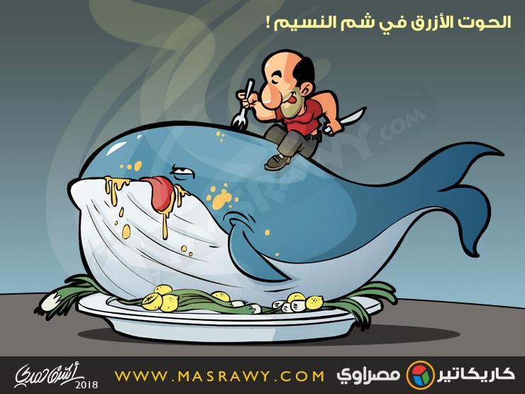 الحوت الأزرق في شم النسيم الحوت الأزرق في شم النسيم