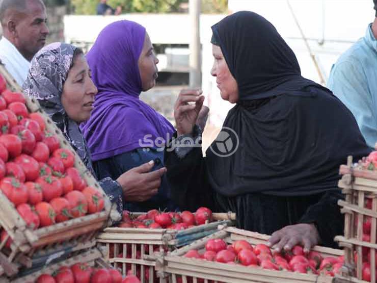 بينها الطماطم والخيار والبصل.. أسعار الخضروات ترتفع قبيل شهر رمضان بينها الطماطم والخيار والبصل.. أسعار الخضروات ترتفع قبيل شهر رمضان