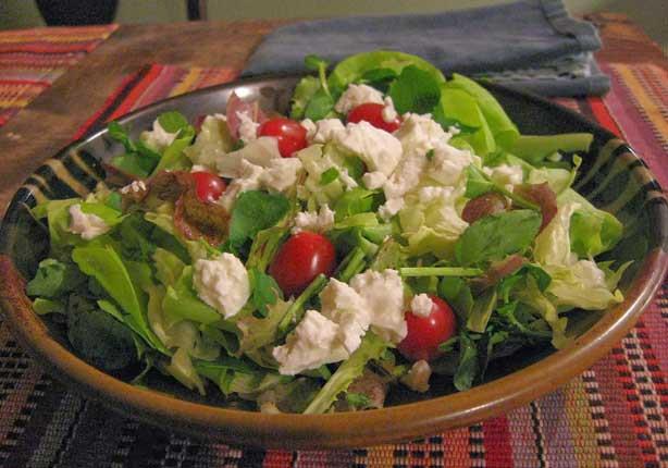 1292-watercress-salad-with-cheese