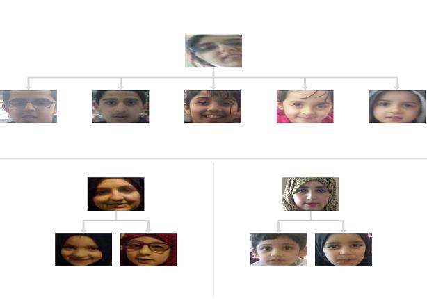 Missing-family-tree2-3-0-0