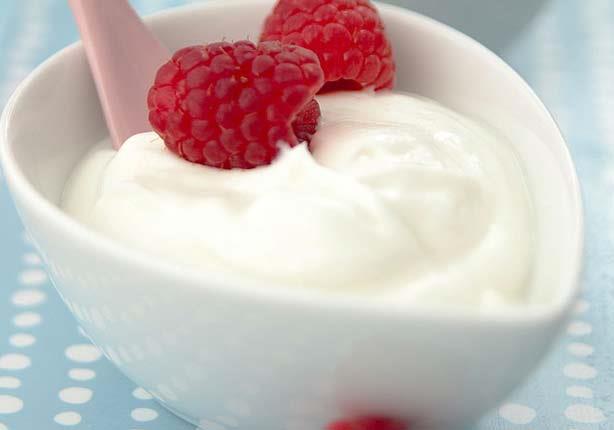 frozen-greek-yogurt-1_0