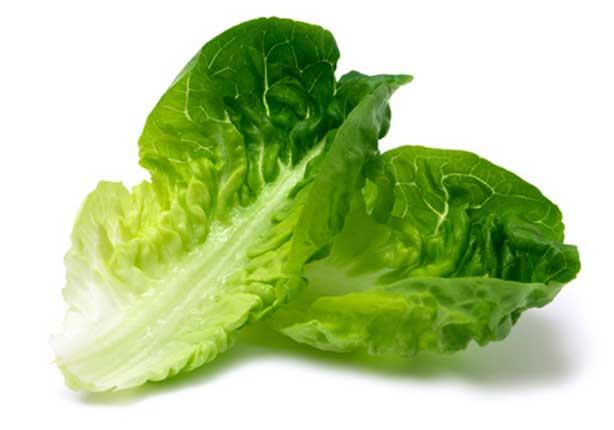 lettuce-640