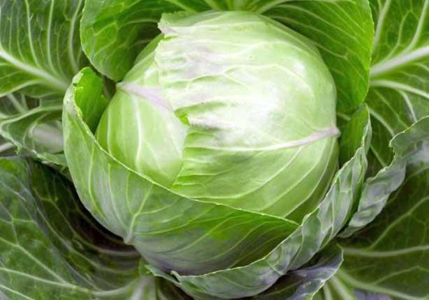Cabbage11
