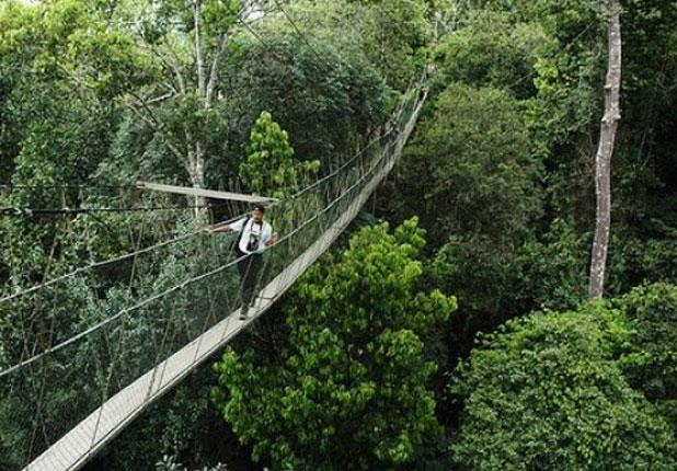 يعد أطول جسر معلق في ماليزيا، وبالرغم من أن عبور هذا الجسر يبدو مستحيلًا، إلا أنه يمر منه كل يوم المئات من السكان المحليين.
