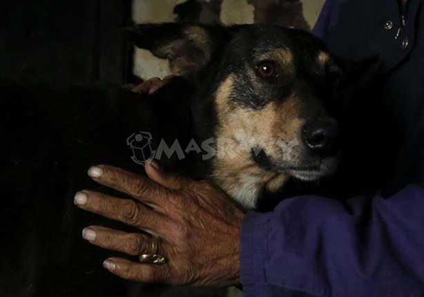 حكاية رجل ستيني أنقذه الكلب من الموت