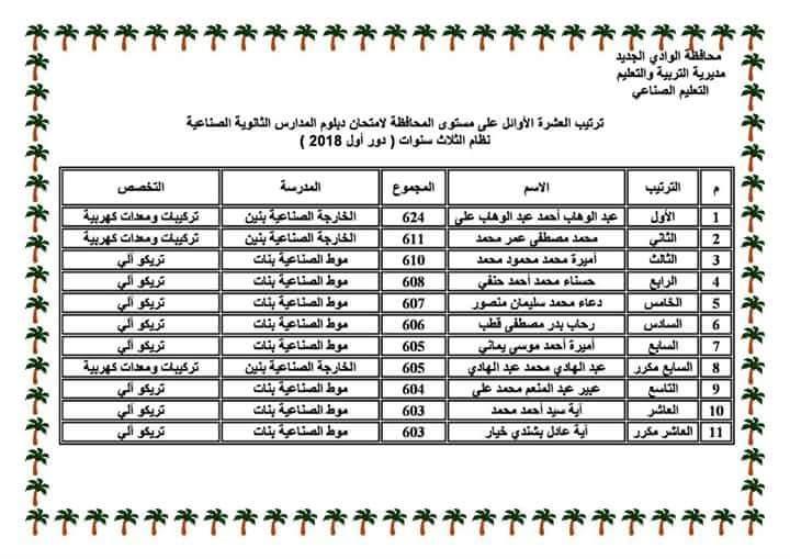 أوائل الدبلومات الفنية في الوادي الجديد (1)