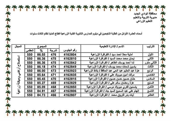 أوائل الدبلومات الفنية في الوادي الجديد (2)