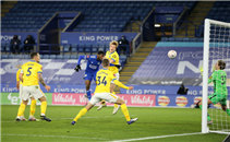 هدف ليستر سيتي أمام برايتون