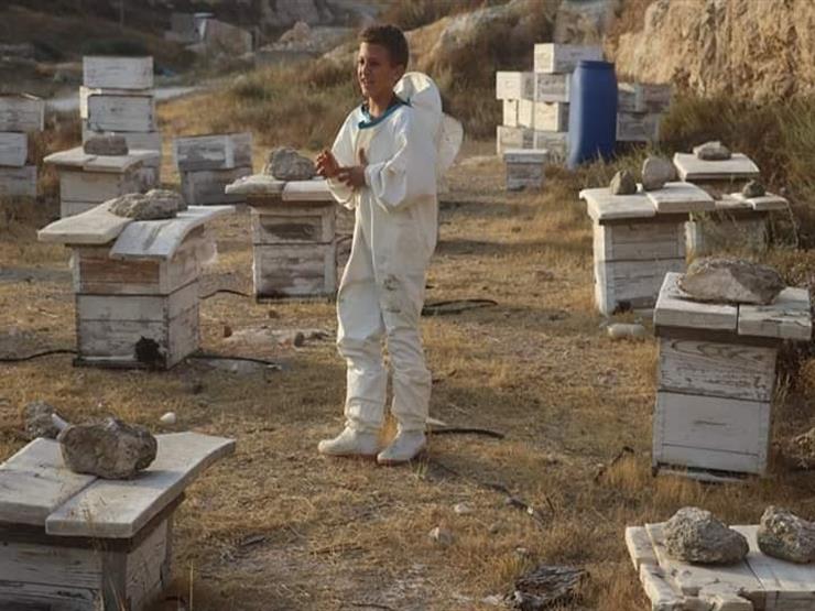سوا في المنحل.. رحلة فلسطيني وصغاره مع إنتاج العسل 2020_9_15_22_53_19_335