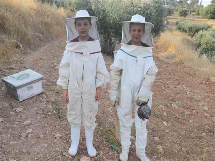 سوا في المنحل.. رحلة فلسطيني وصغاره مع إنتاج العسل 2020_9_15_22_54_3_585