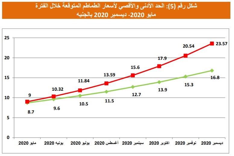 التوقعات لأسعار الطماطم حتى نهاية العام