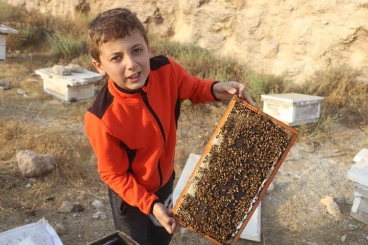سوا في المنحل.. رحلة فلسطيني وصغاره مع إنتاج العسل 2020_9_15_22_53_32_679