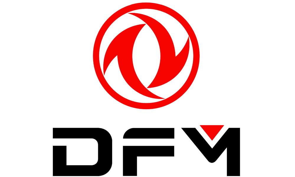 DFM