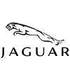 جاغوار