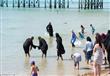 مسلمات يستمتعن بالبحر في بريطانيا وبفرنسا يدفعن غرامة (3)                                                                                                                                               
