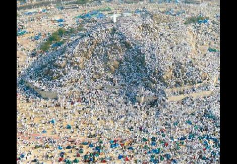 ''ونش'' لتصعيد أضخم حاجَّة تزن 286 كيلو جرامًا إلى عرفات ''ونش'' لتصعيد أضخم حاجَّة تزن 286 كيلو جرامًا إلى عرفات