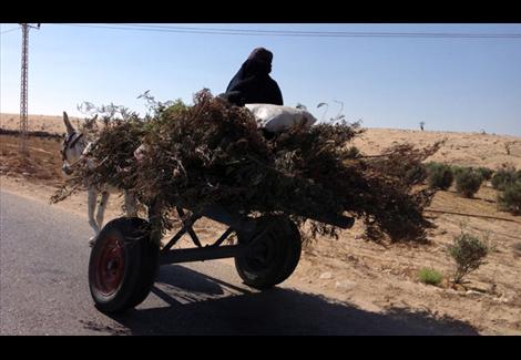 الشيخ زويد.. ماذا يجري هناك الشيخ زويد.. ماذا يجري هناك