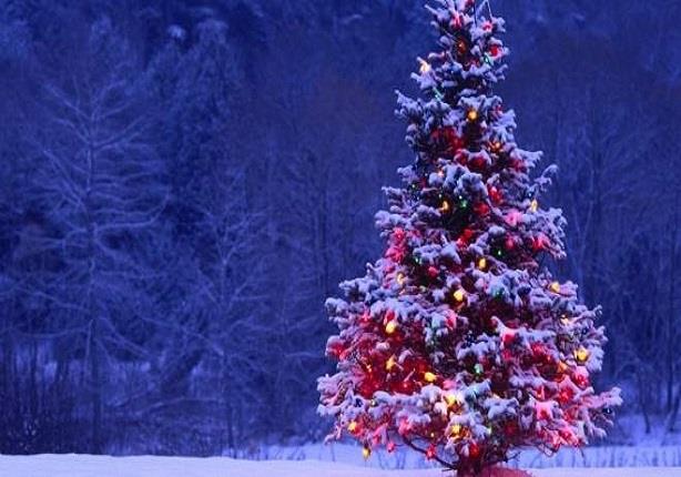 قصة شجرة عيد الميلاد و أول من استخدمها مصراوى